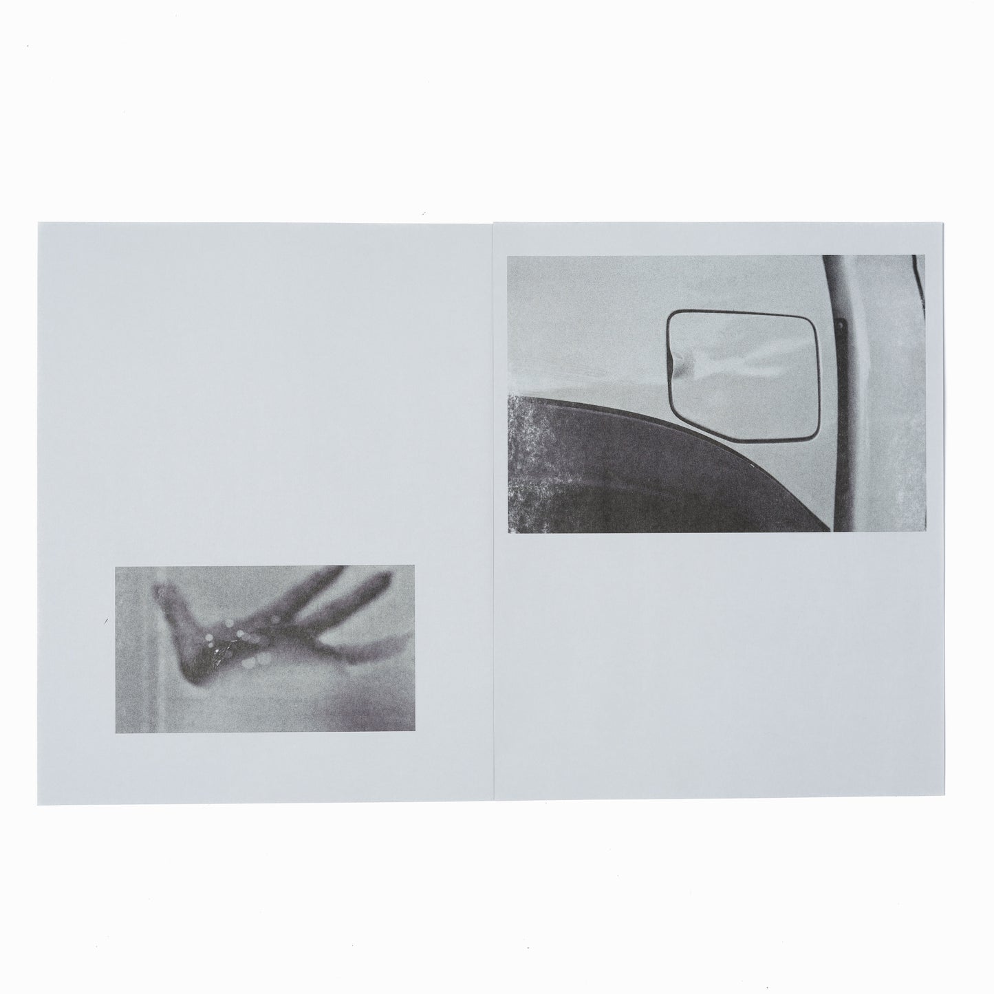 LANE STEWART: GREY AREA