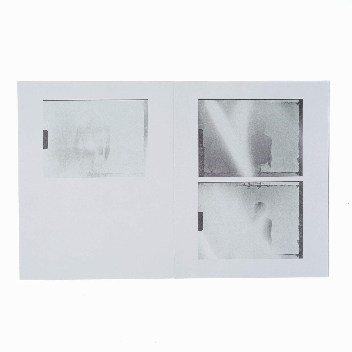 LANE STEWART: GREY AREA