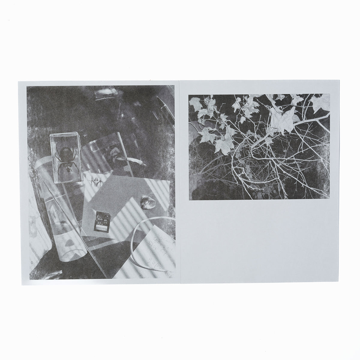 LANE STEWART: GREY AREA