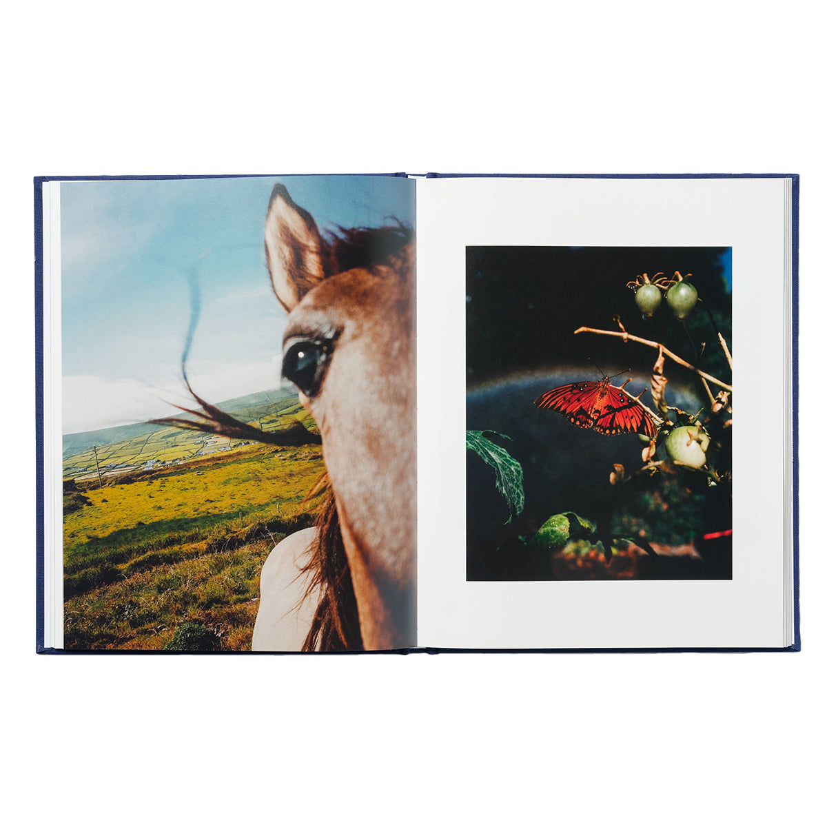 Breathless In Glowing Air