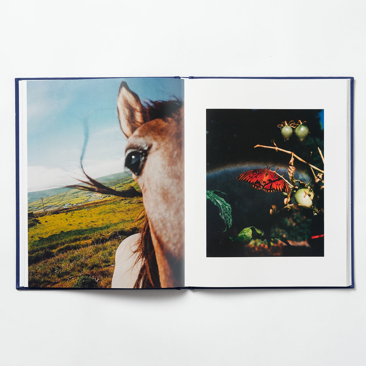 Breathless In Glowing Air